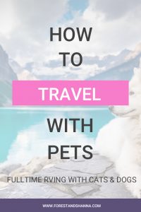 How to Travel with Pets