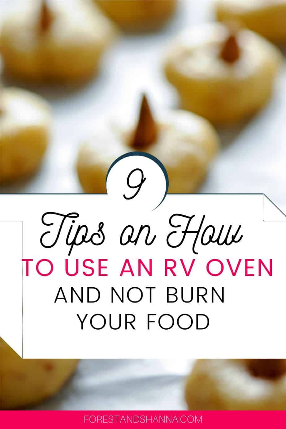 9 Tips for How to Use an RV Oven and Not Burn Your Food Forest and Shanna Ventures